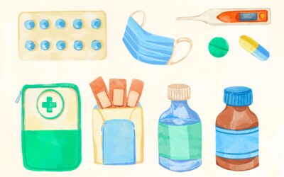 Fundraiser: Katie’s Senior Project