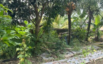 Wall of Safety Fundraiser – Bali