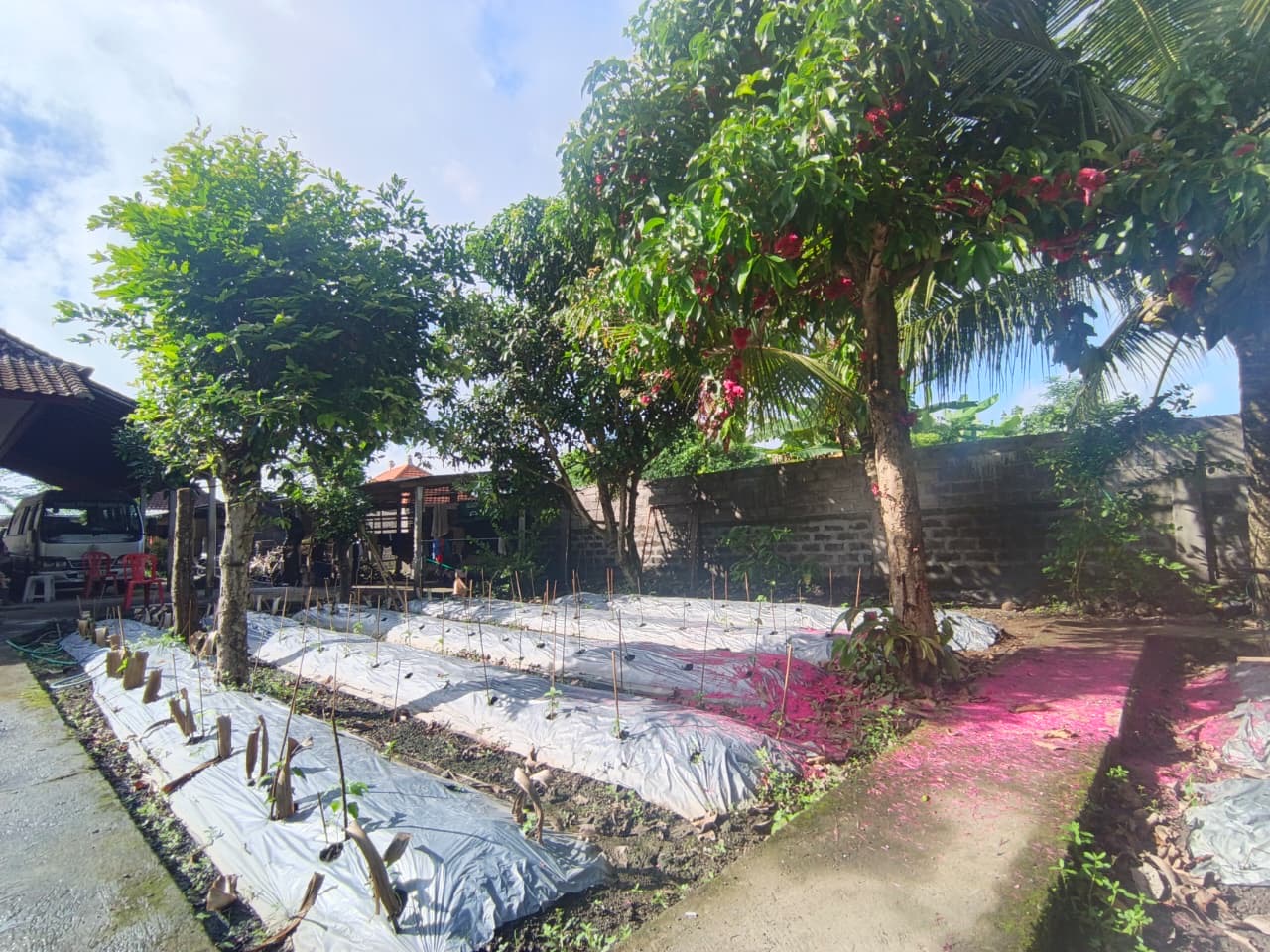Global Goods Organization Safety Wall Built in Bali (2)